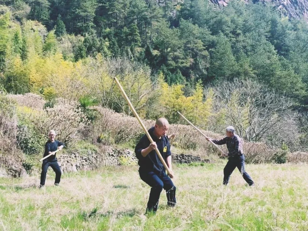 在地之韵|遂昌人人都会功夫？你一定看了茶园武术吧