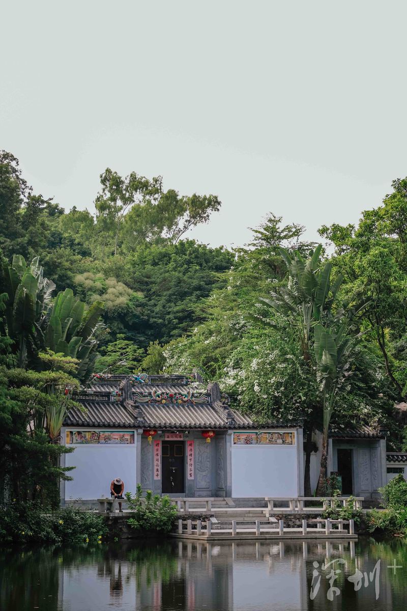 深圳园林博览园风景,深圳世界园林景区