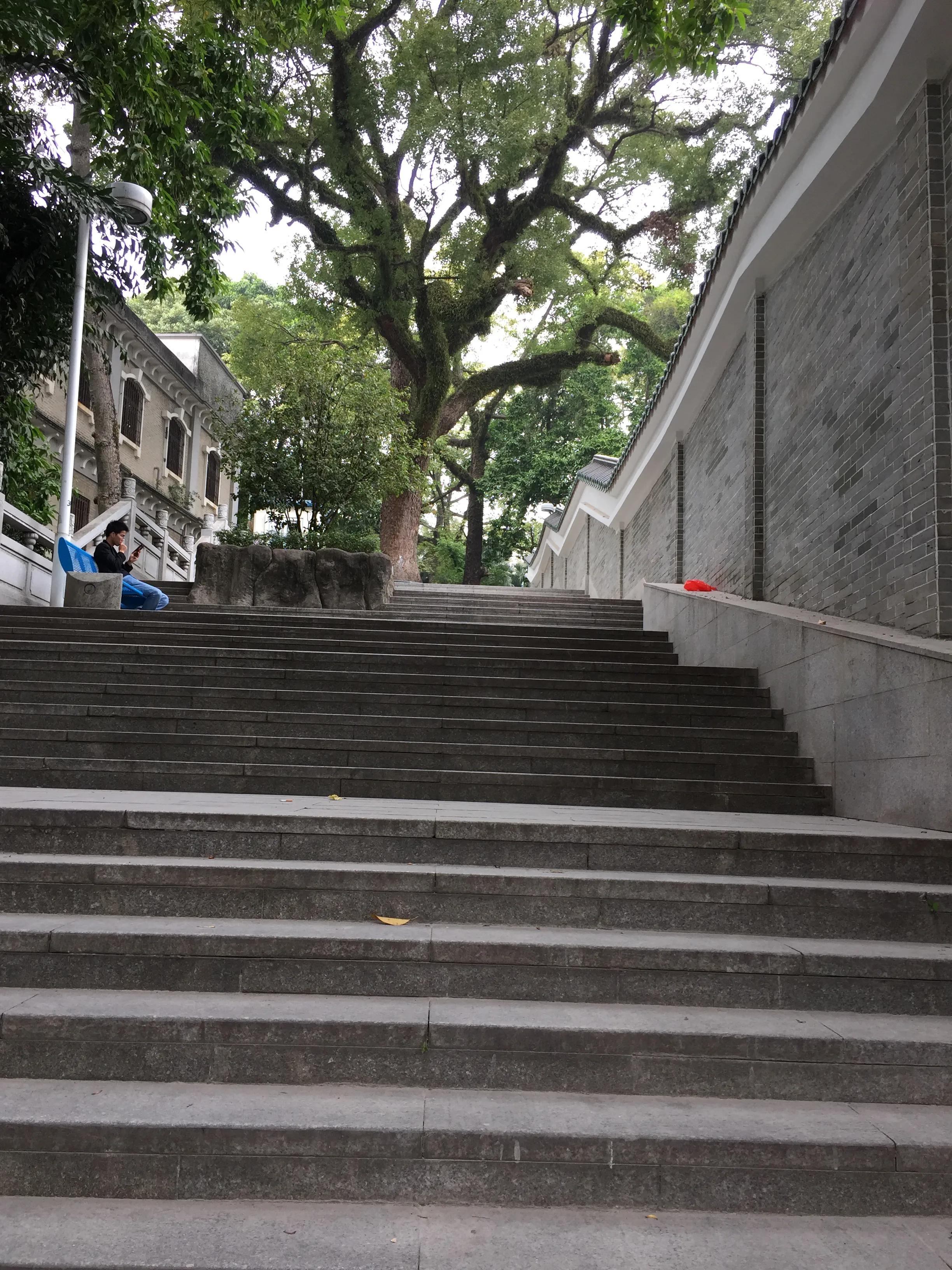 iphone5系列拍照最好的,iphone5细节拍照