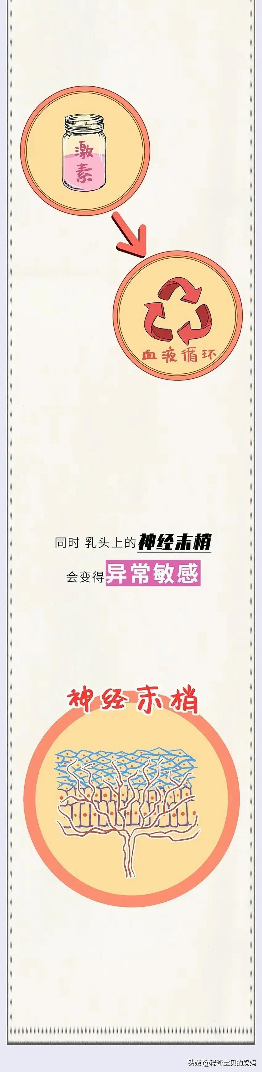 女生姨妈前后四个阶段漫画,女生的一生要经历几个阶段漫画