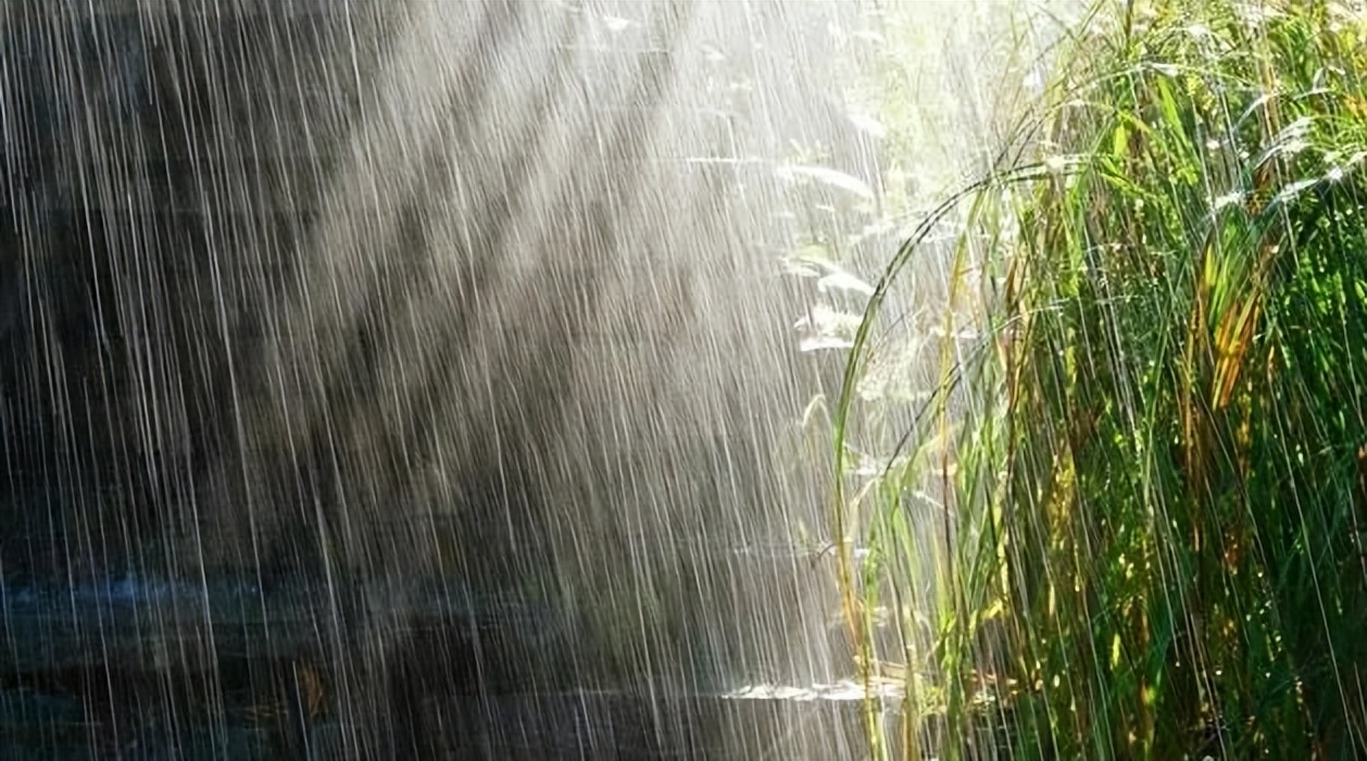湿铺防水需要哪些材料,卫生间湿铺防水做法