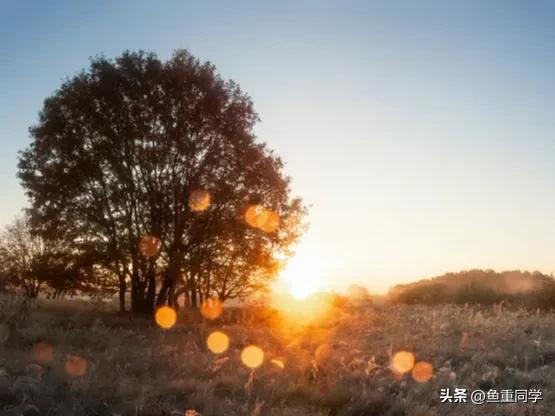 霜降寓意着天气逐渐变冷,今年霜降日是什么预兆
