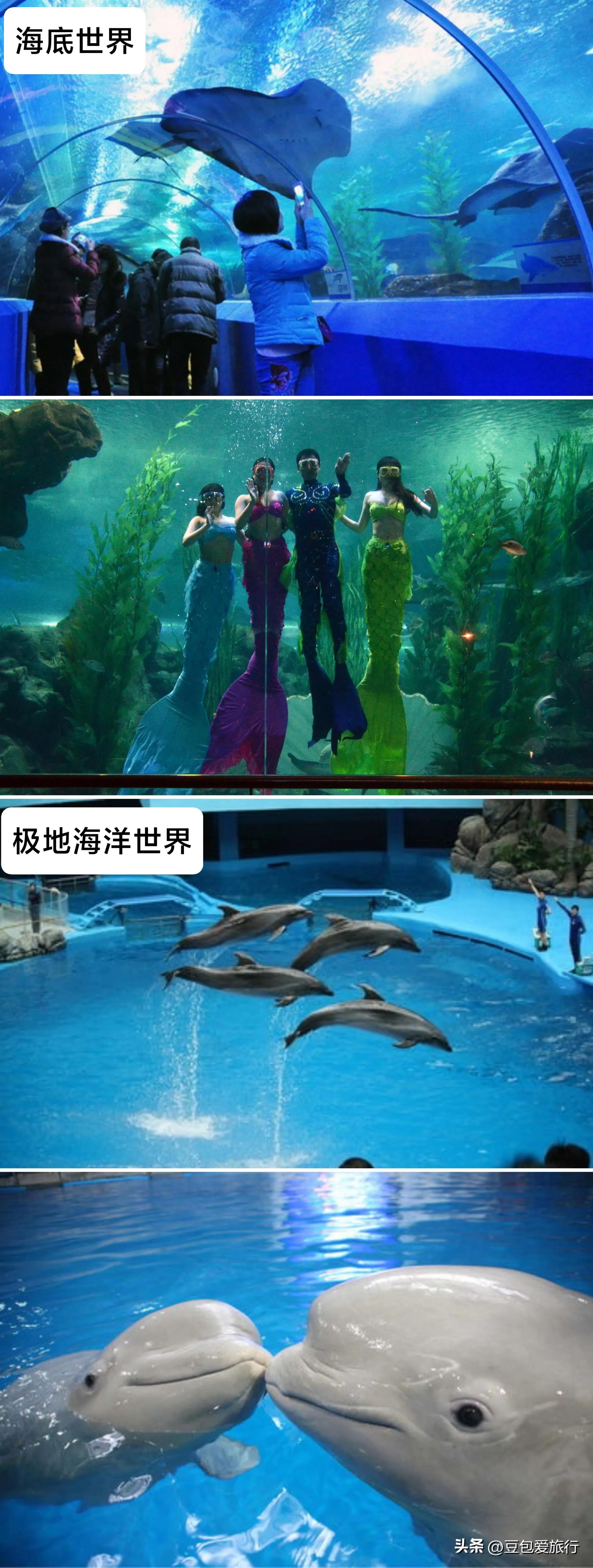 青岛旅行打卡必去景点攻略,最具特色海景青岛必打卡旅游景点