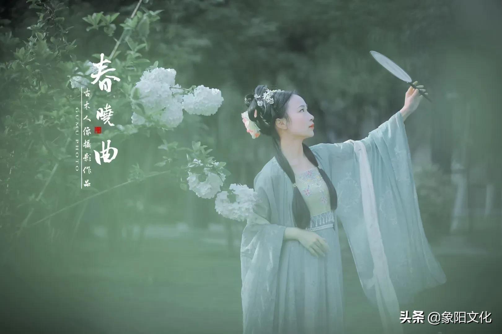 诗词摄影鉴赏,摄影古诗欣赏