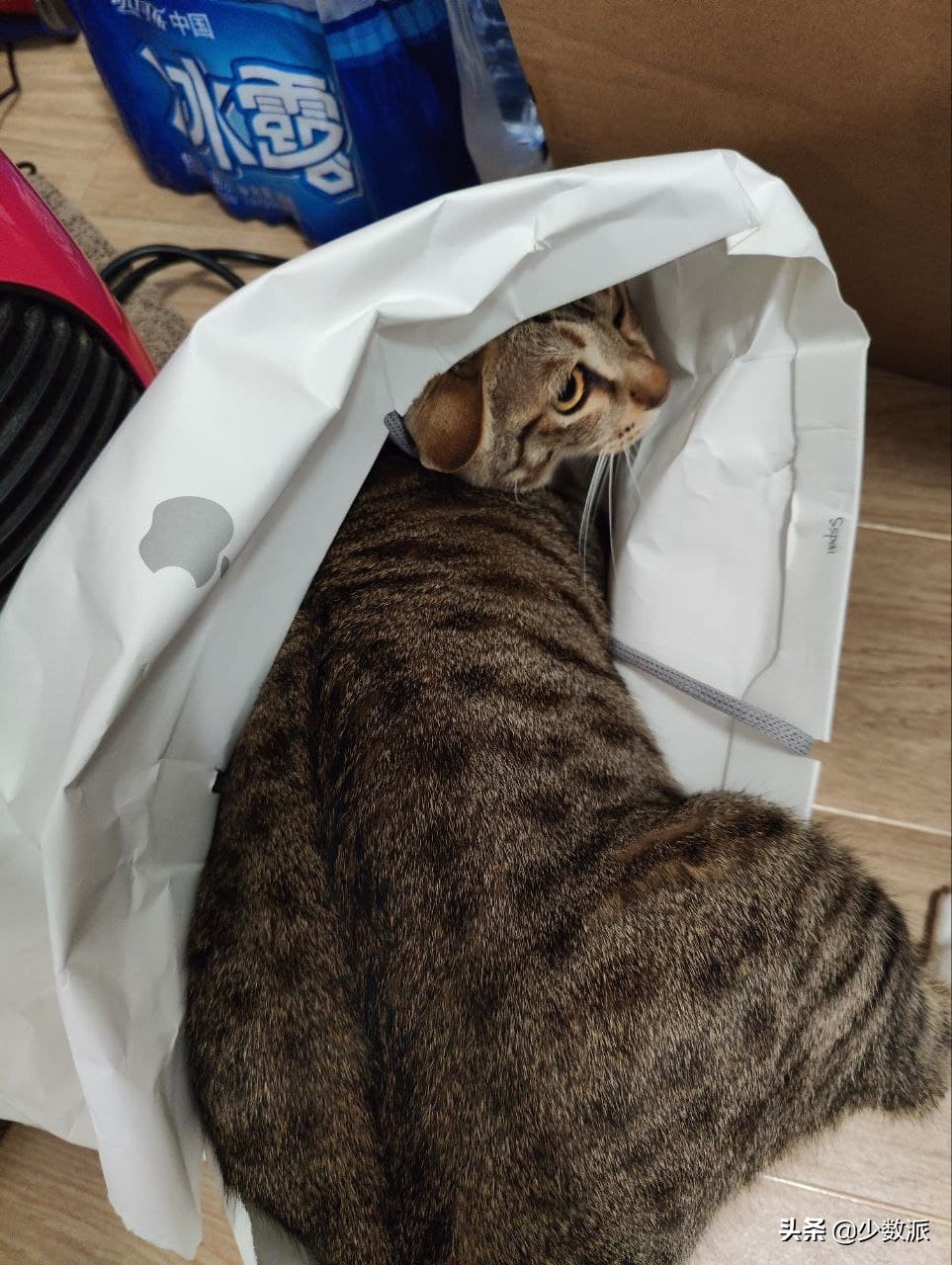 ipadpro12.9第五代,平板ipadair几代最好