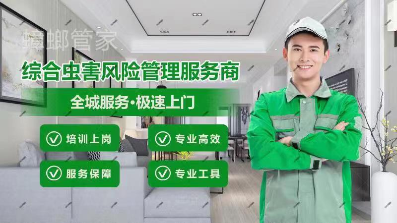 饭店蟑螂用什么药,饭店蟑螂从哪里来