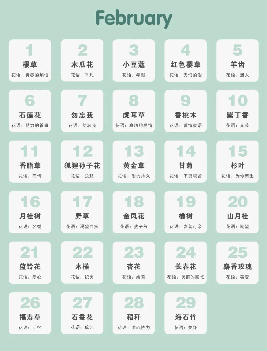 365生日花语大全,关于生日的花的花语