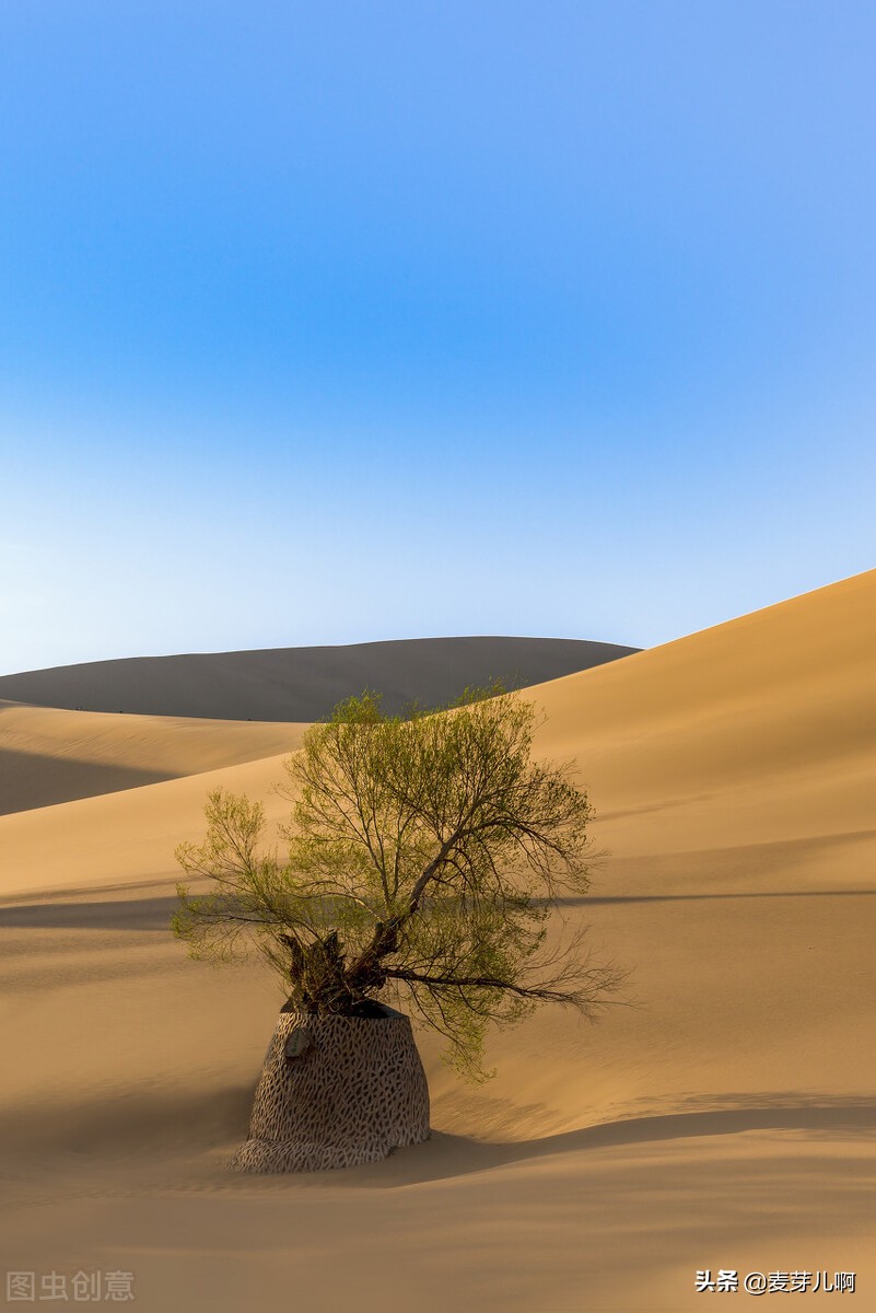 我不知年少轻狂只知道胜者为王,不知年少轻狂只知胜者为王赵信