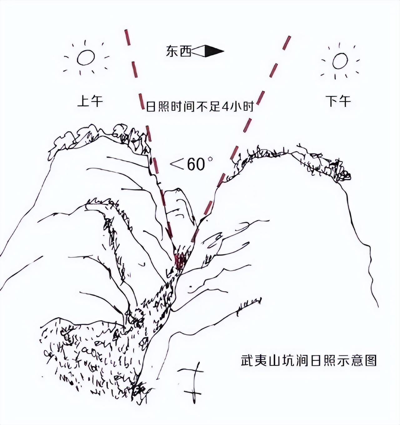 如何了解武夷山茶,探寻武夷