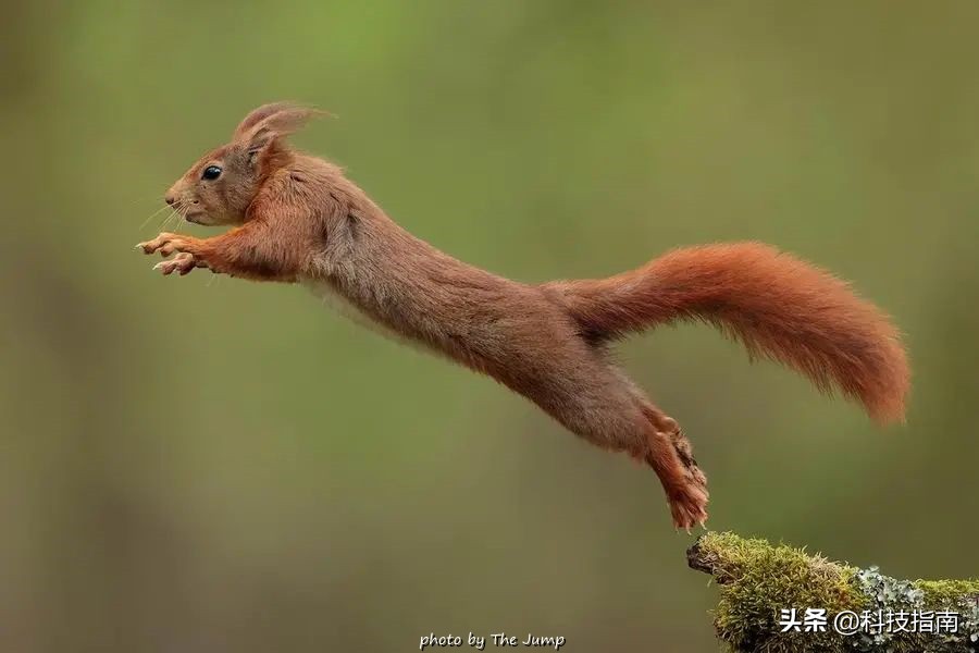 照片上的文字水印,照片上的水印是真的吗