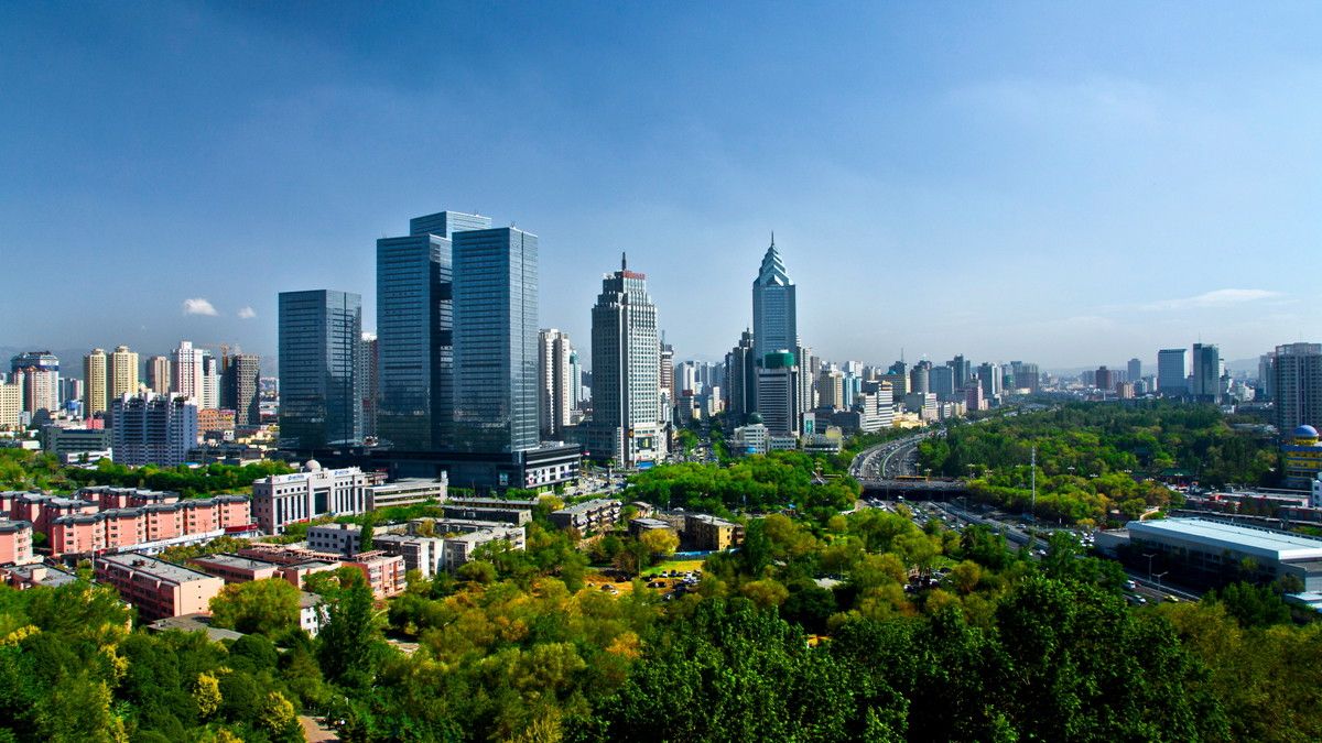 日本访疆代表团,日本访疆