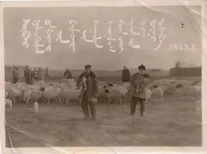 归化城马市上马匹的种类与税收情况