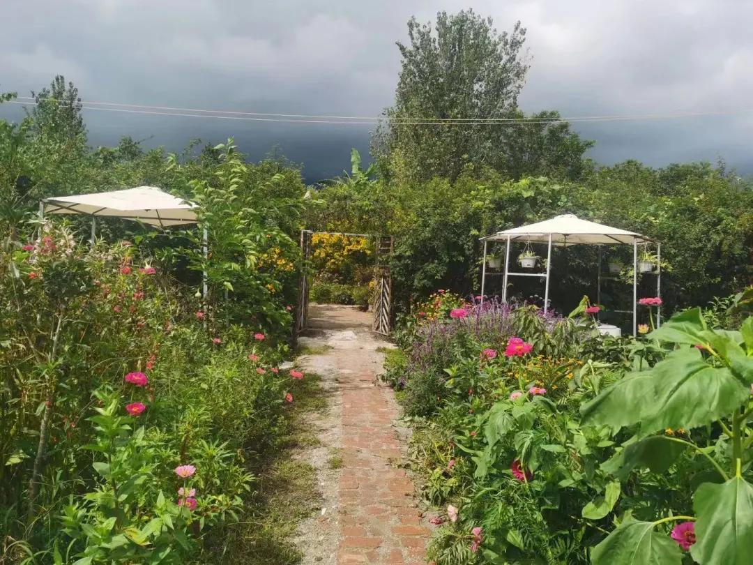 大理幼儿园环境,大理县城幼儿园