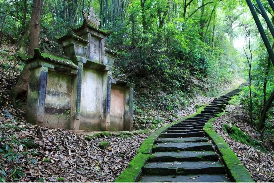 四川蒲江茶叶基地,四川百亿级大县