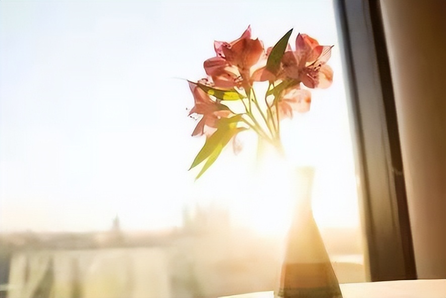 只生了一个孩子的70后，晚年的“无助”，从49岁那年开始