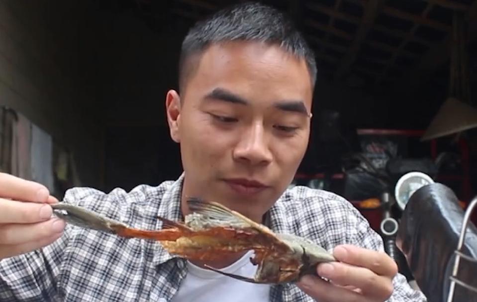 歪厨子余小二央视,歪厨子余小二靠啥爆火