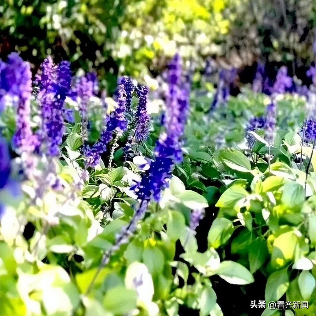 白露节气如何防秋燥抗秋冻,今日白露勿露身防秋燥