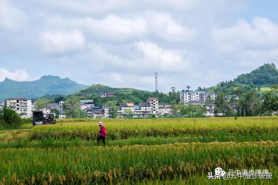 岳池旅游景点大全推荐,行走的美景