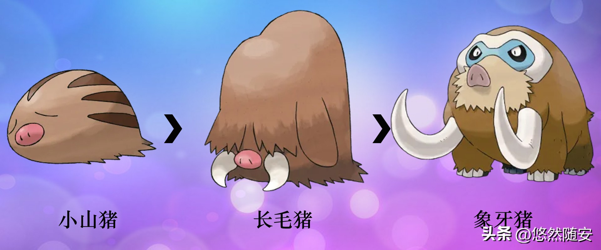 宝可梦伊布全部进化形态,宝可梦剑盾泪眼蜥进化形态