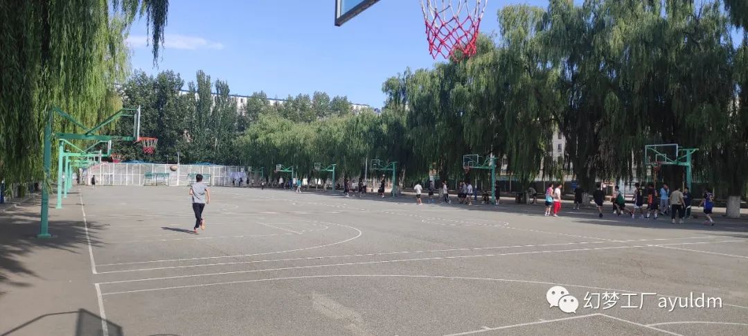 你好母校作文800字,你好母校作文