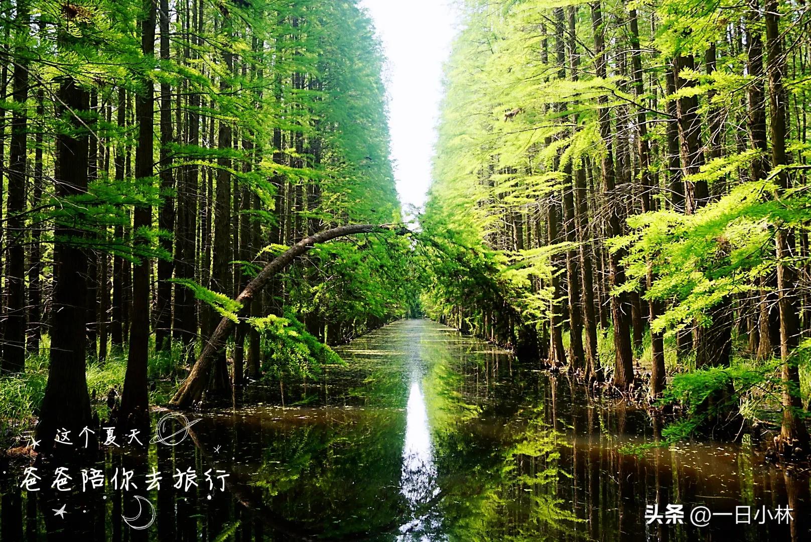 比亚迪续航700夏天能跑600不,比亚迪元ev长途旅行