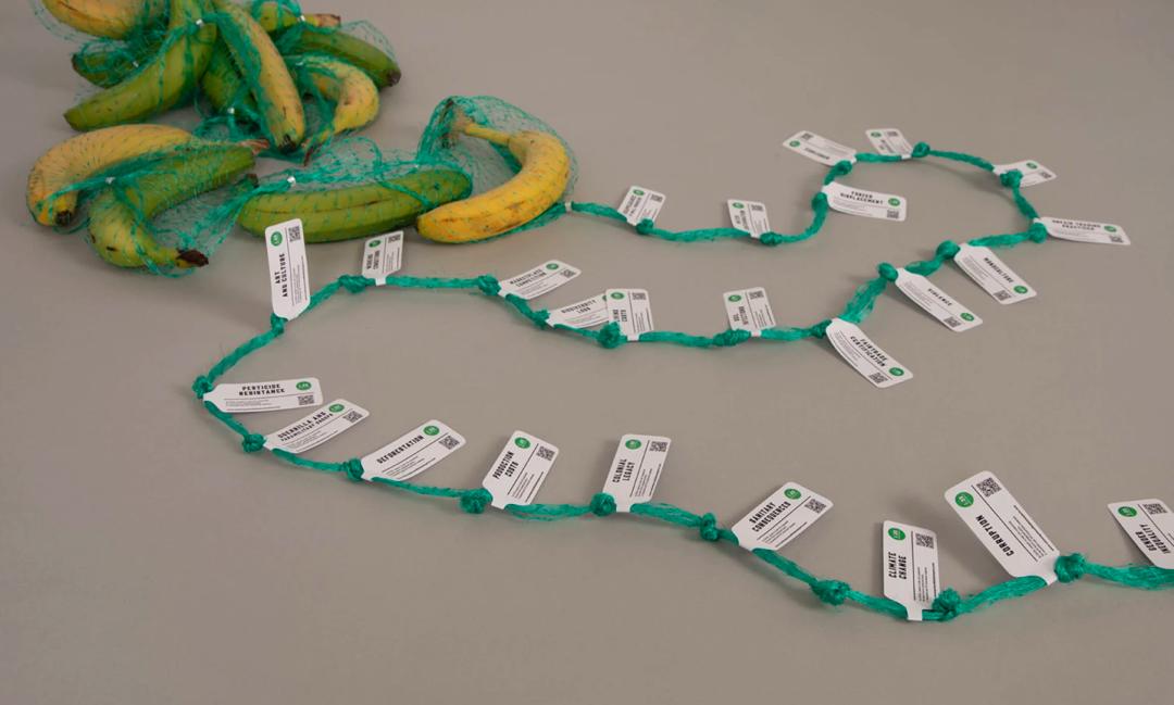 UAL毕业大赏｜LCC只有交互最有名？大NO特NO！