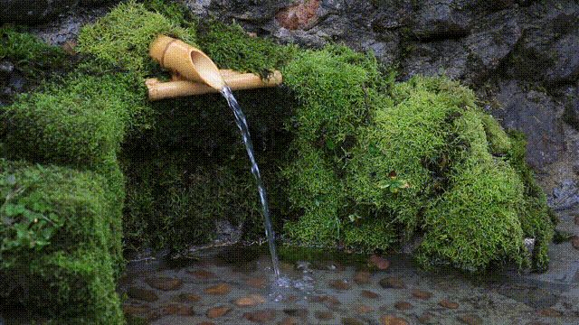 猴石森林公园攻略,猴石国家森林公园发展