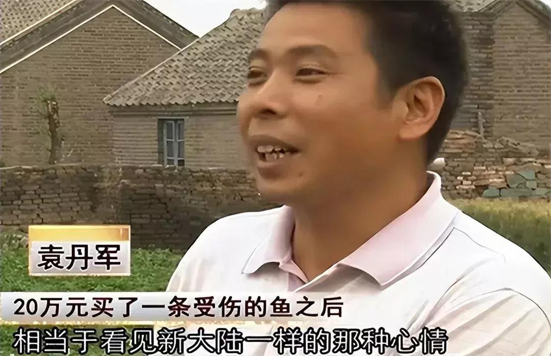 男子20万买一条半死不活的鱼,小伙花800元买一条蓝色大鱼
