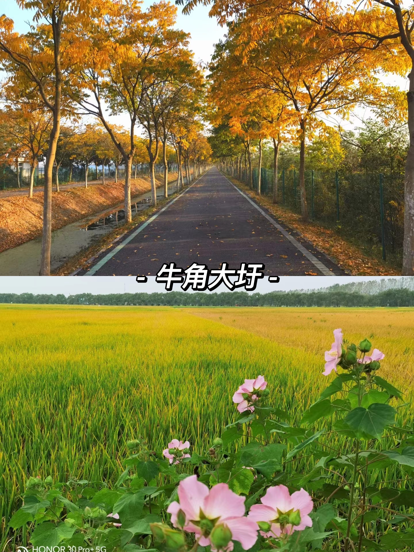 合肥周边3-5天短途自驾游推荐,合肥适合自驾游的地方推荐