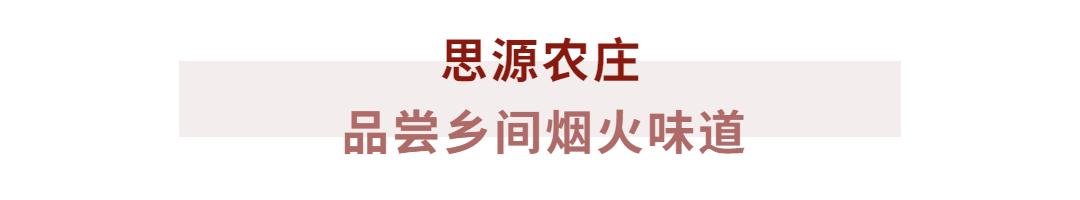 古徽州徽文化旅游攻略,徽州自由行旅游攻略最新