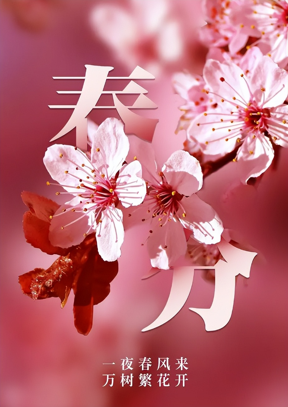 就在明天贾浩廷歌曲,就在明天演唱