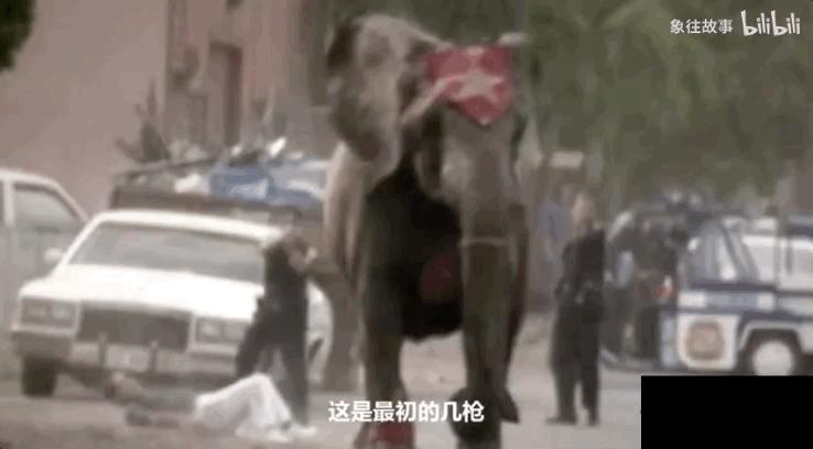 全网最近大事件,最大丑闻案件