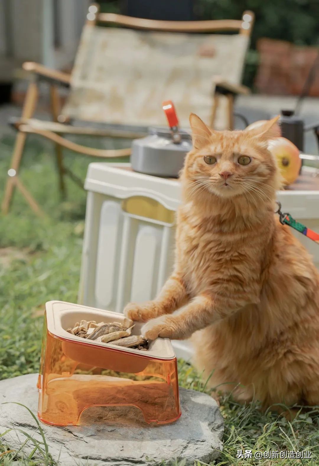 低碳环保我先行绘画,创意环保产品排行榜