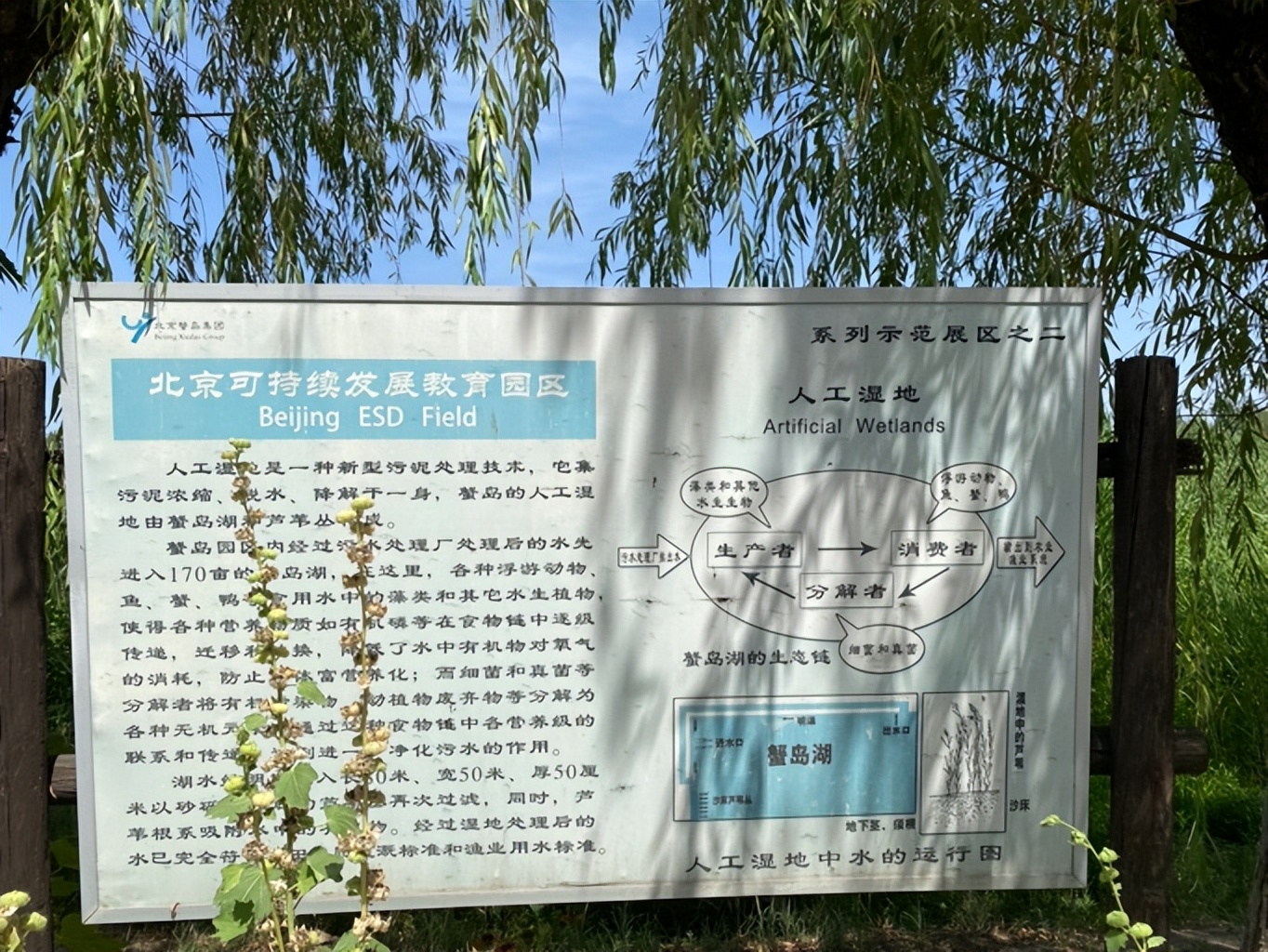 暑期实践日志1500字,暑期夏令营志愿者实践日志