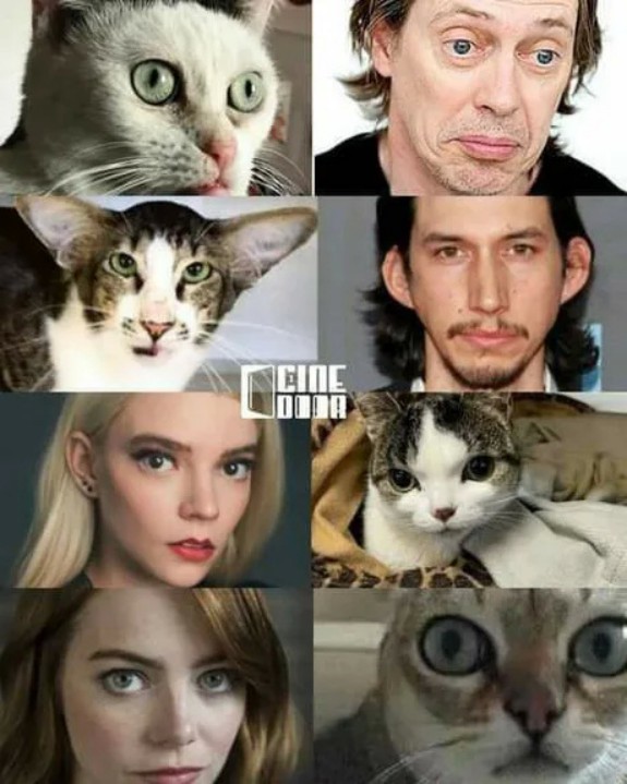 有趣又搞笑的动图,搞笑动图大杂烩