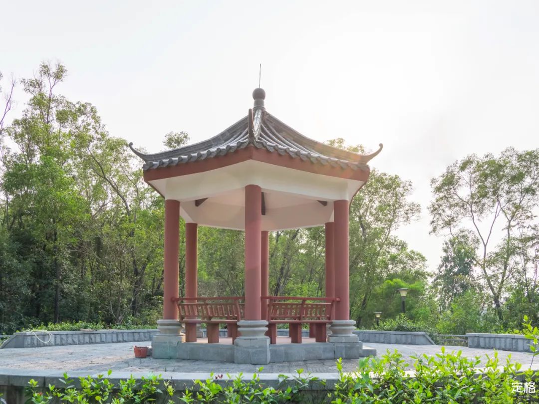 深圳10条入门登山线路推荐,深圳十大山峰最新登山攻略