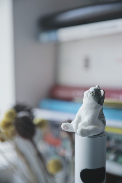 有些事情可能一开始就已经注定了,我相信很多事情都是命中注定的