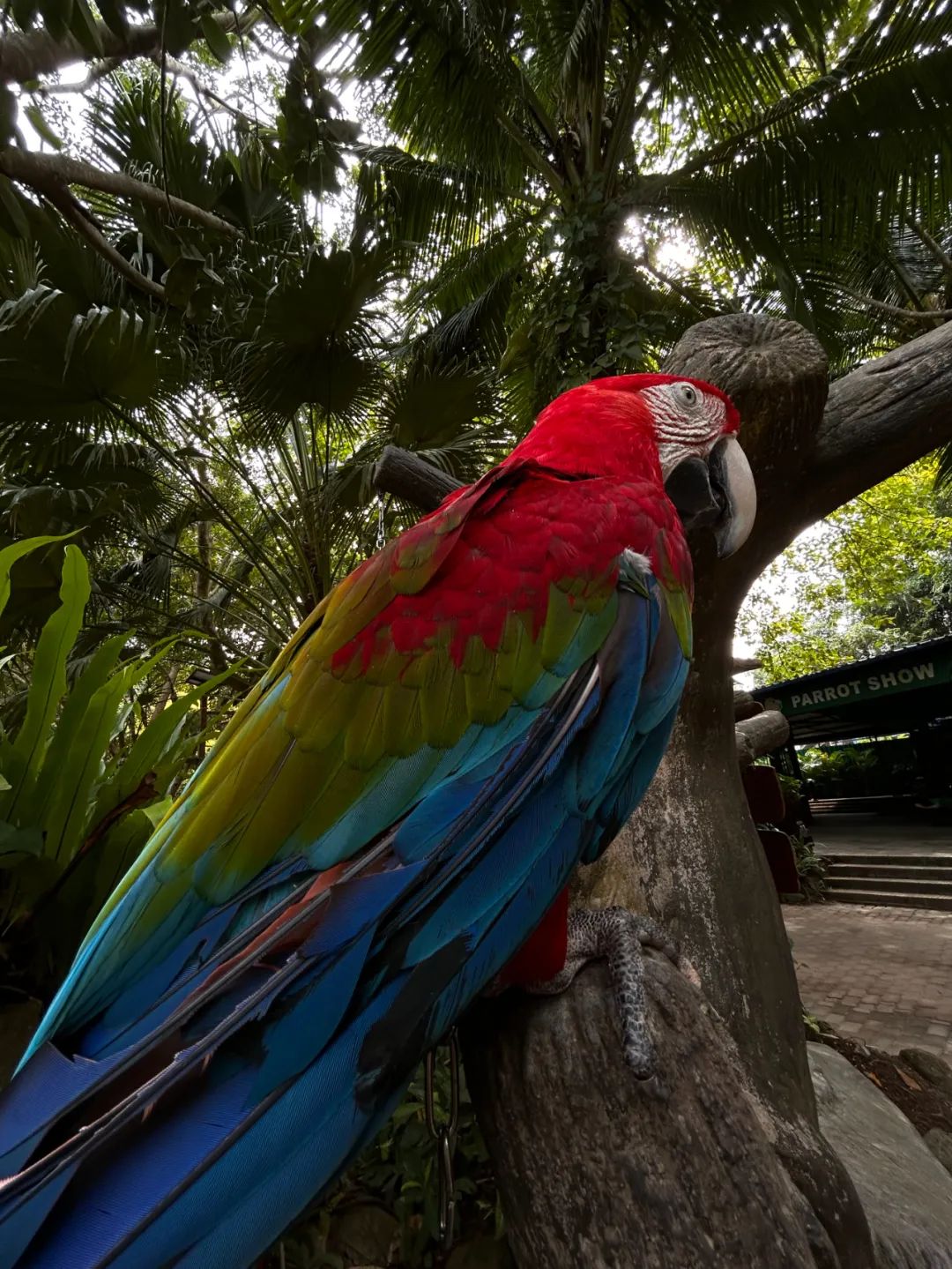 iphone14系列拍视频哪个最好,iphone14系列拍人好看吗