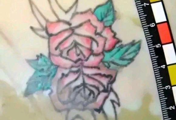 腹部玫瑰纹身女尸案,纹身女尸疑案