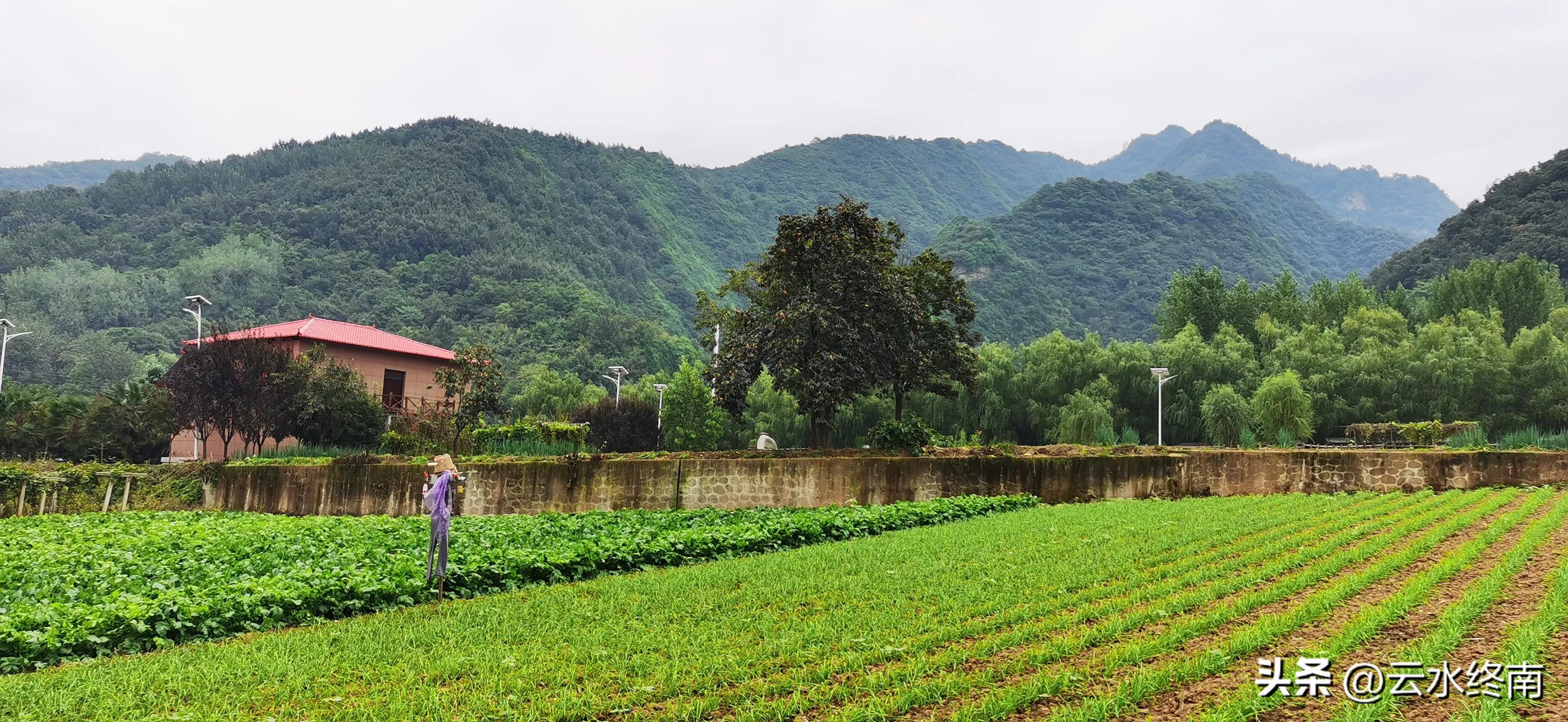 世界上最大室内植物园在哪,去世界上最大的动物园