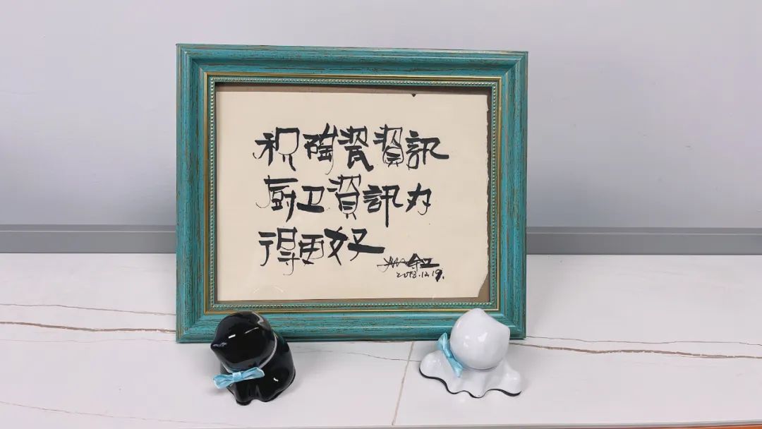 惠达黑猫叫什么,惠达小猫