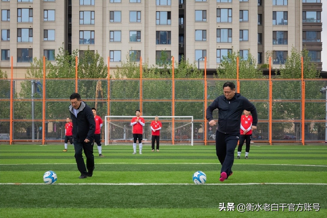 衡水老白干篮球联赛2020,衡水老白干石家庄活动