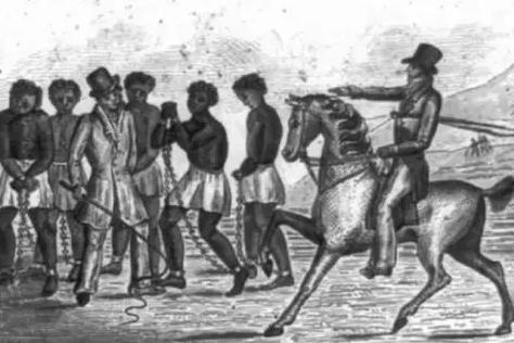 哈丽叶特·比切·斯托夫人：以小说揭露奴隶制度的黑暗