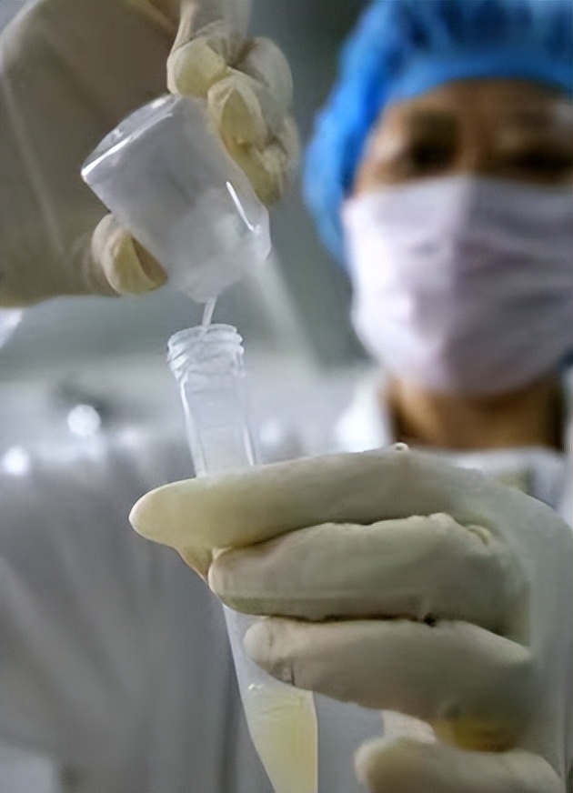 31岁医学博士患癌去世捐出器官,31岁医学博士病逝器官捐献