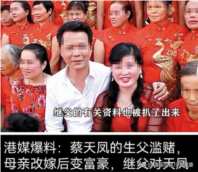 香港蔡天凤案最新进展,香港蔡天凤案怎么发现的