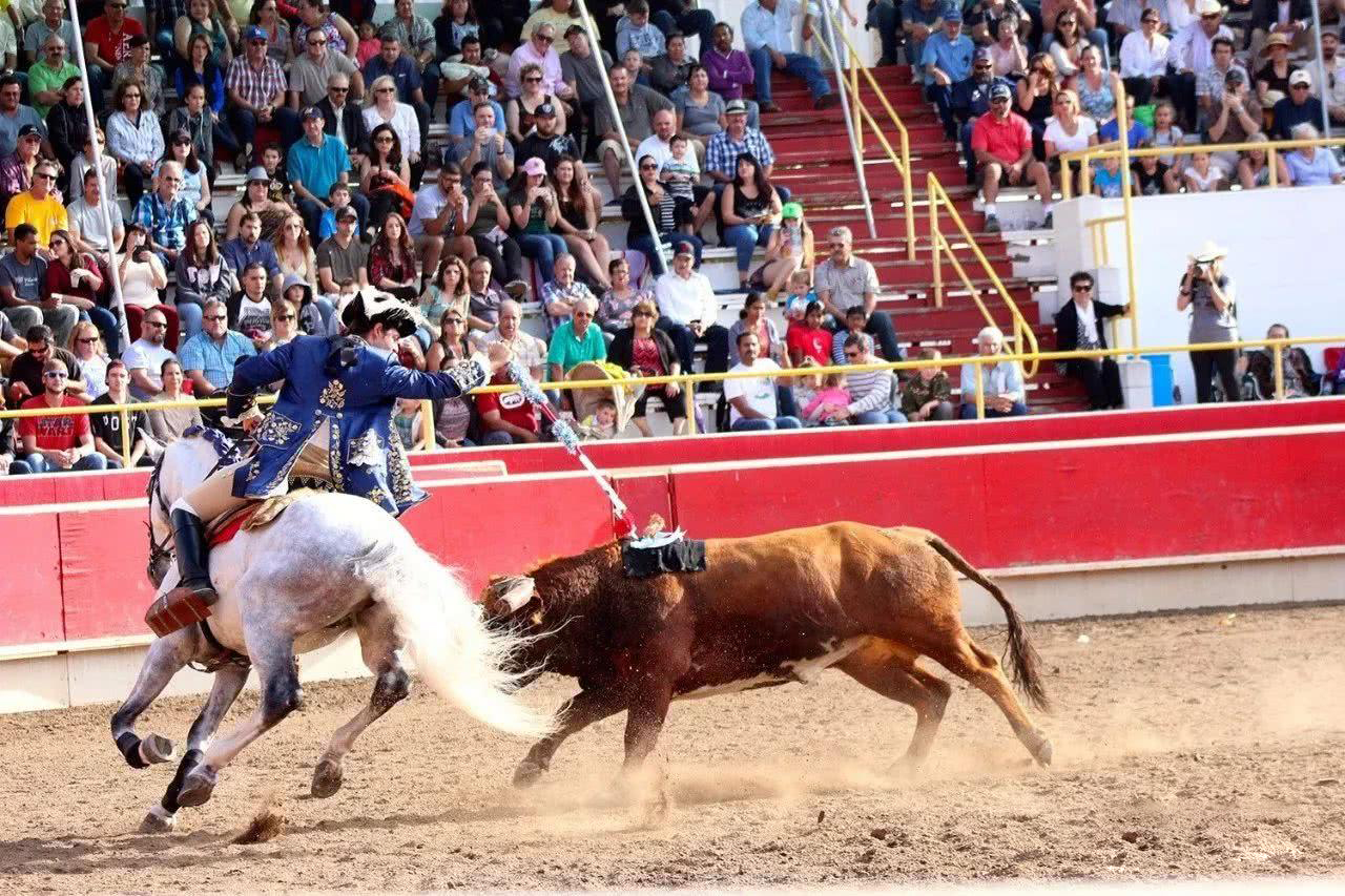 葡萄牙最近怎么样,葡萄牙最新状态