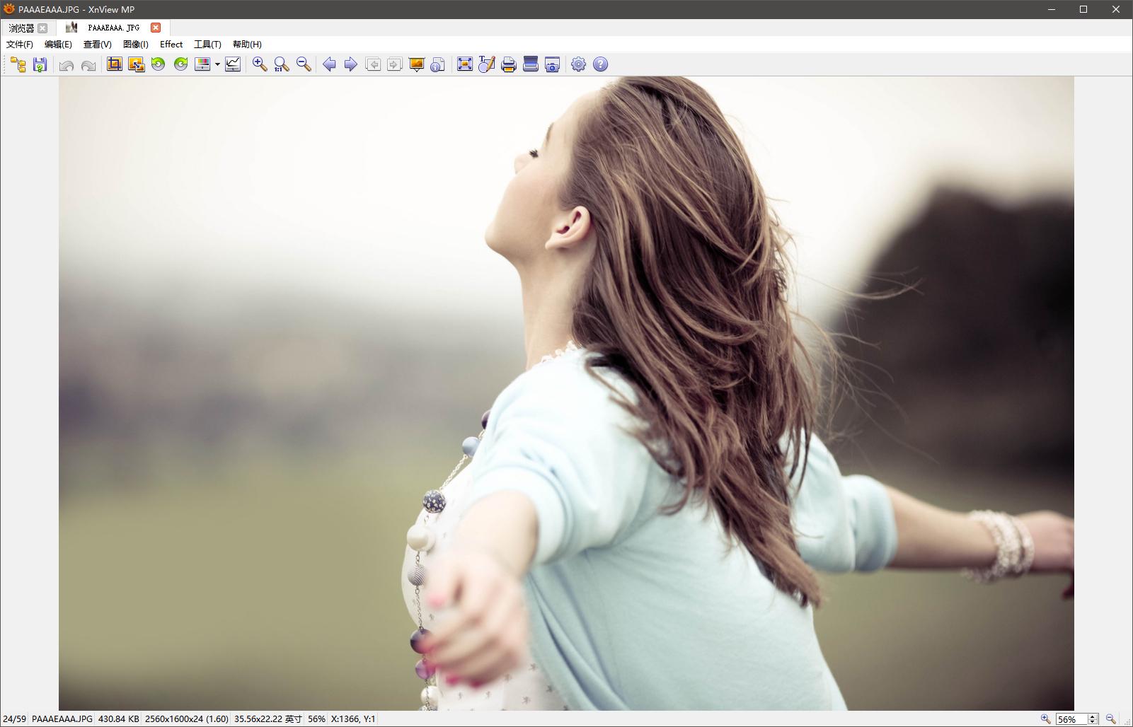 电脑端最基础的图片浏览器,能够图像识别的浏览器