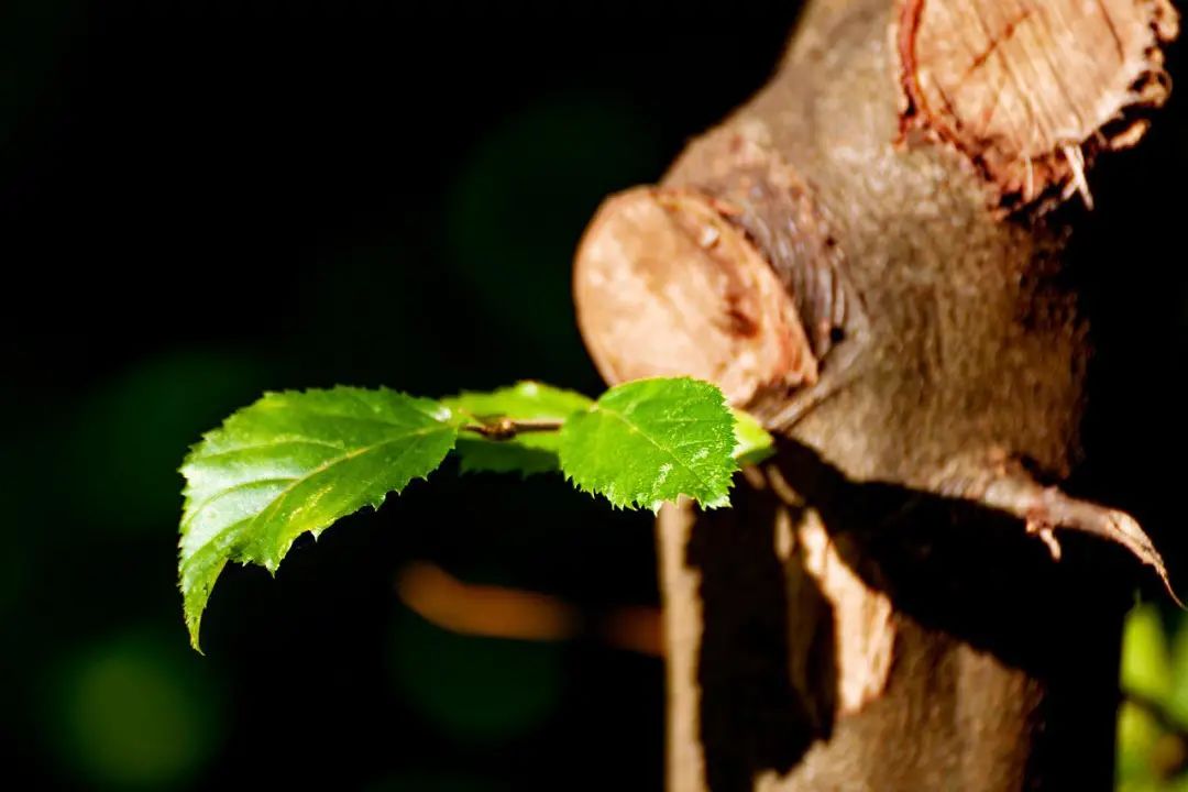 人生需要清零重新开始,人生需要清零重启
