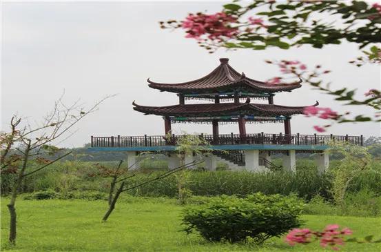 灌云县四大景区问题,制约连云港发展的原因