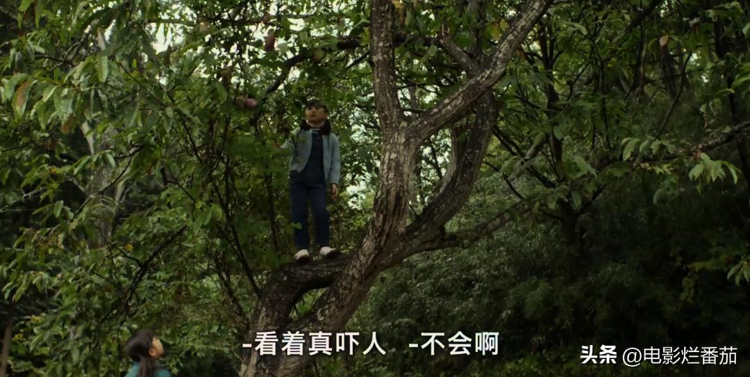 豆瓣9.0，日本乡间简素的一餐一饭，治好了无数人的“精神内耗”